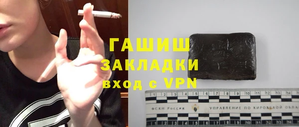 шишки Медногорск