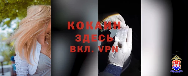 шишки Медногорск