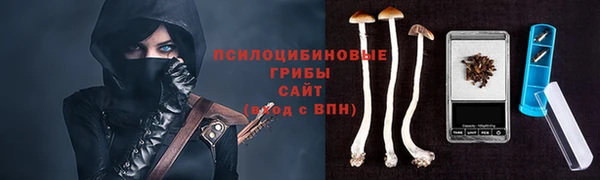 шишки Медногорск