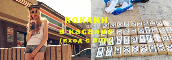 шишки Медногорск