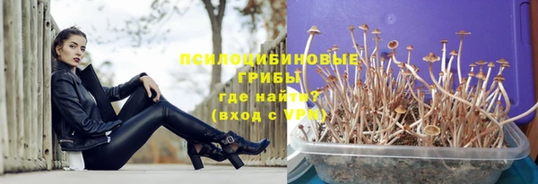 гидропоника Михайлов