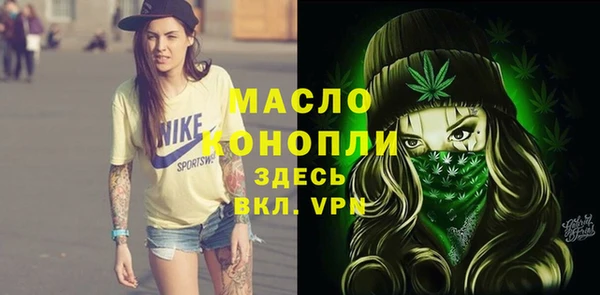 шишки Медногорск