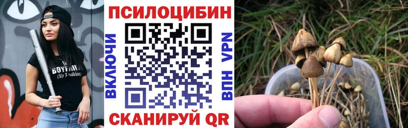 Псилоцибиновые грибы мухоморы  Пудож 